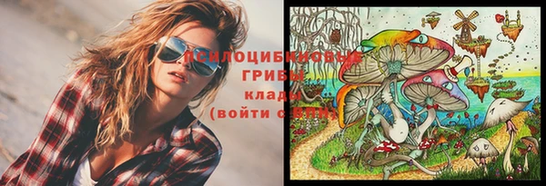 скорость Алзамай