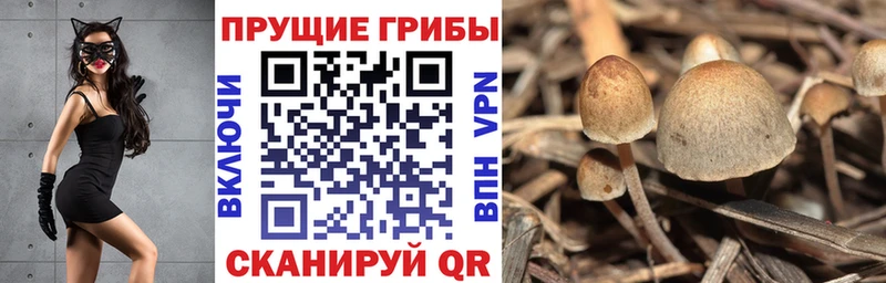 даркнет сайт  Бронницы  Галлюциногенные грибы прущие грибы 